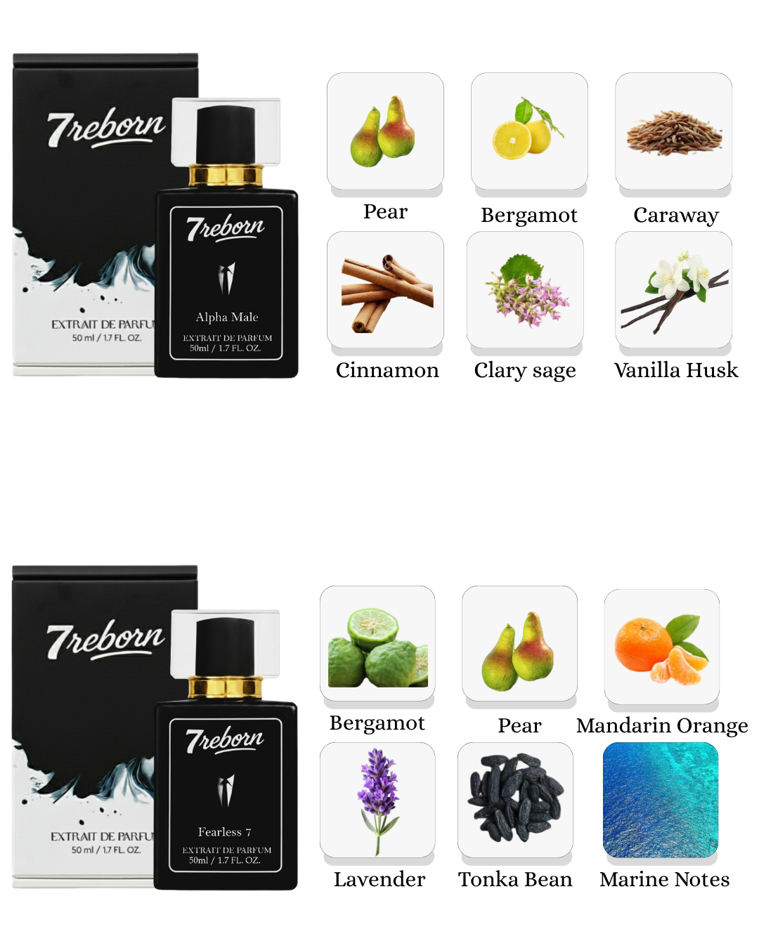 Alpha Male & Fearless 7