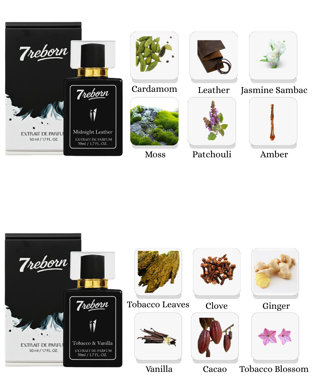 Midnight Leather & Tobacco and Vanilla