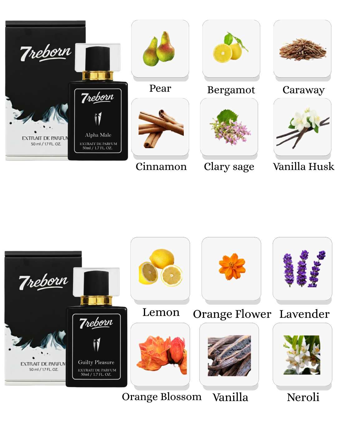 Alpha Male & Guilty Pleasure