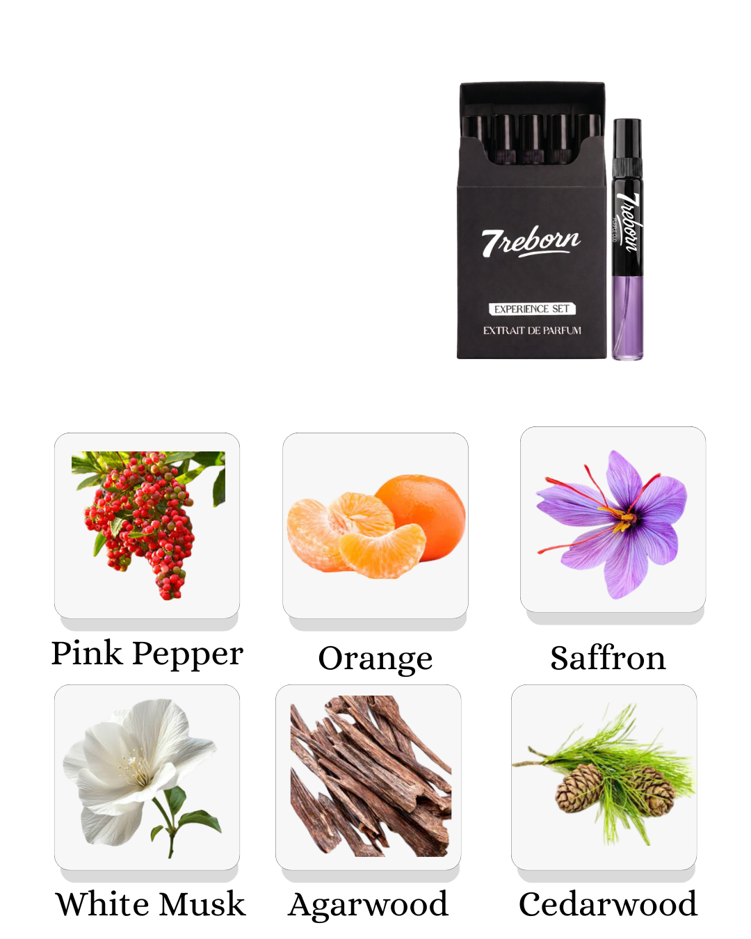 Purple Oud