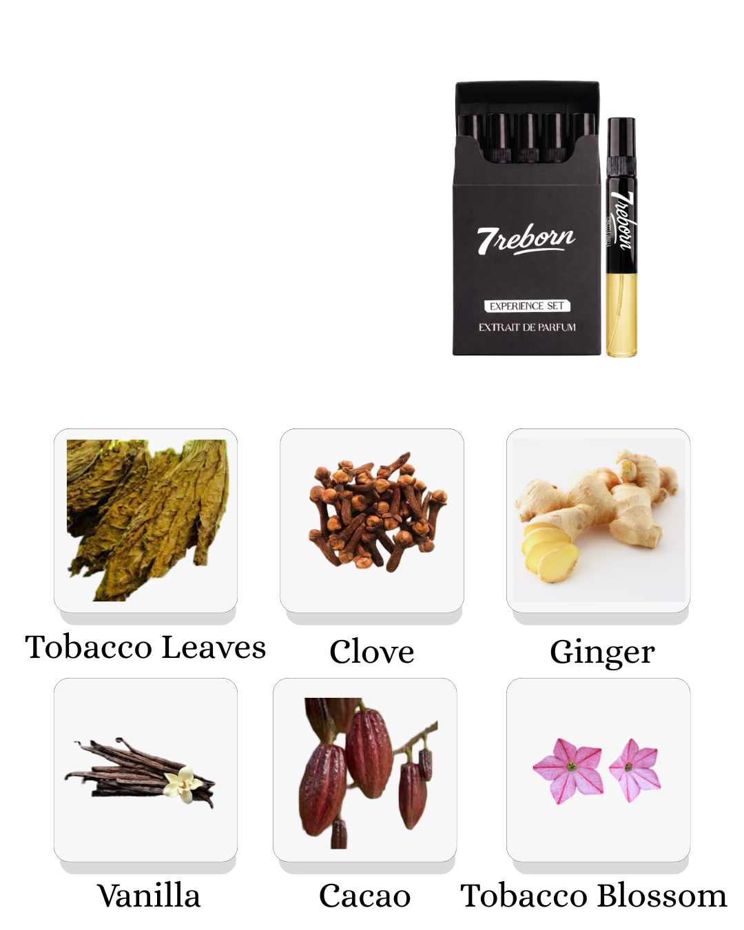Tobacco & Vanilla