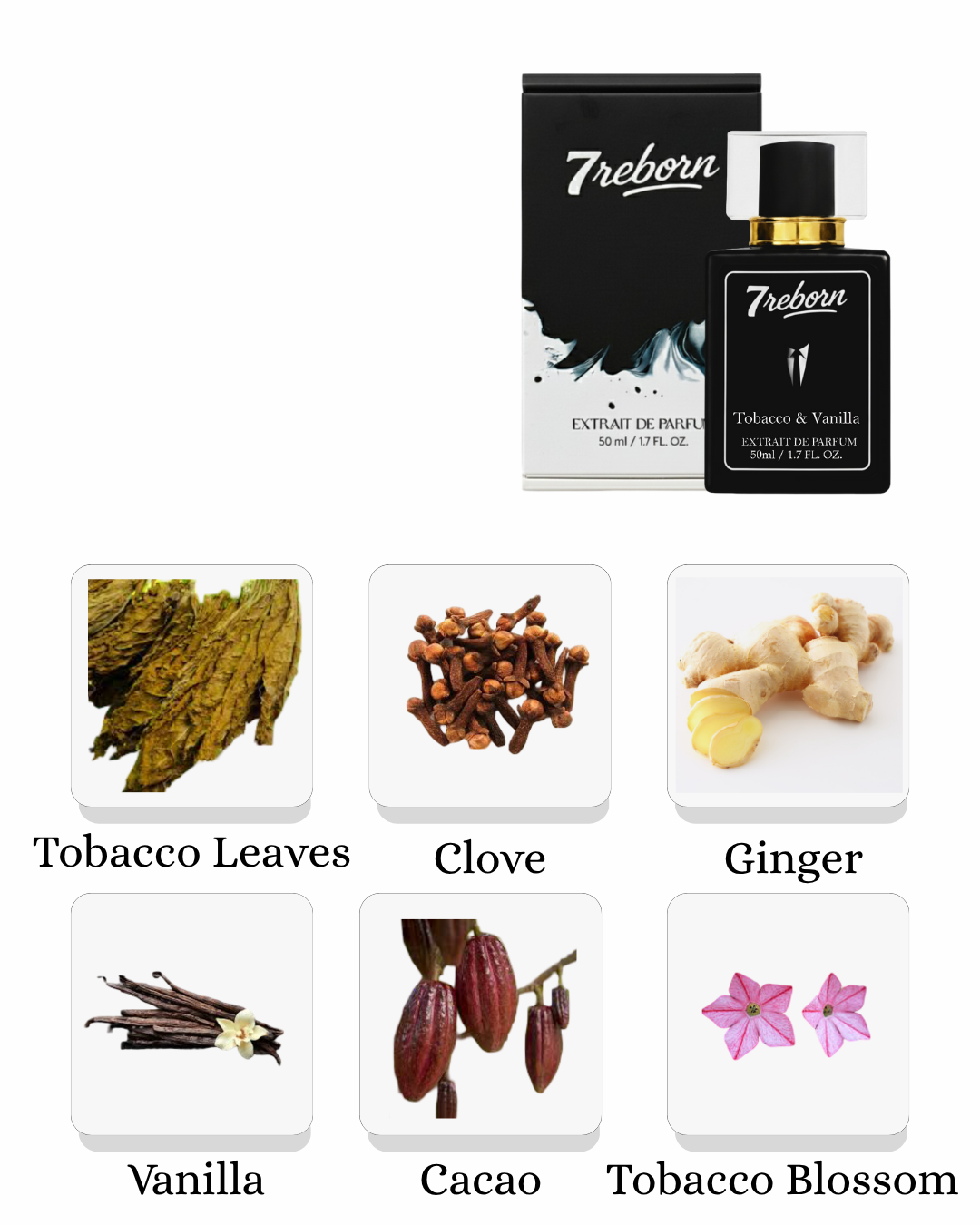 Tobacco & Vanilla